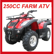 New 250cc Road Legal Quad Bike with Gasoline